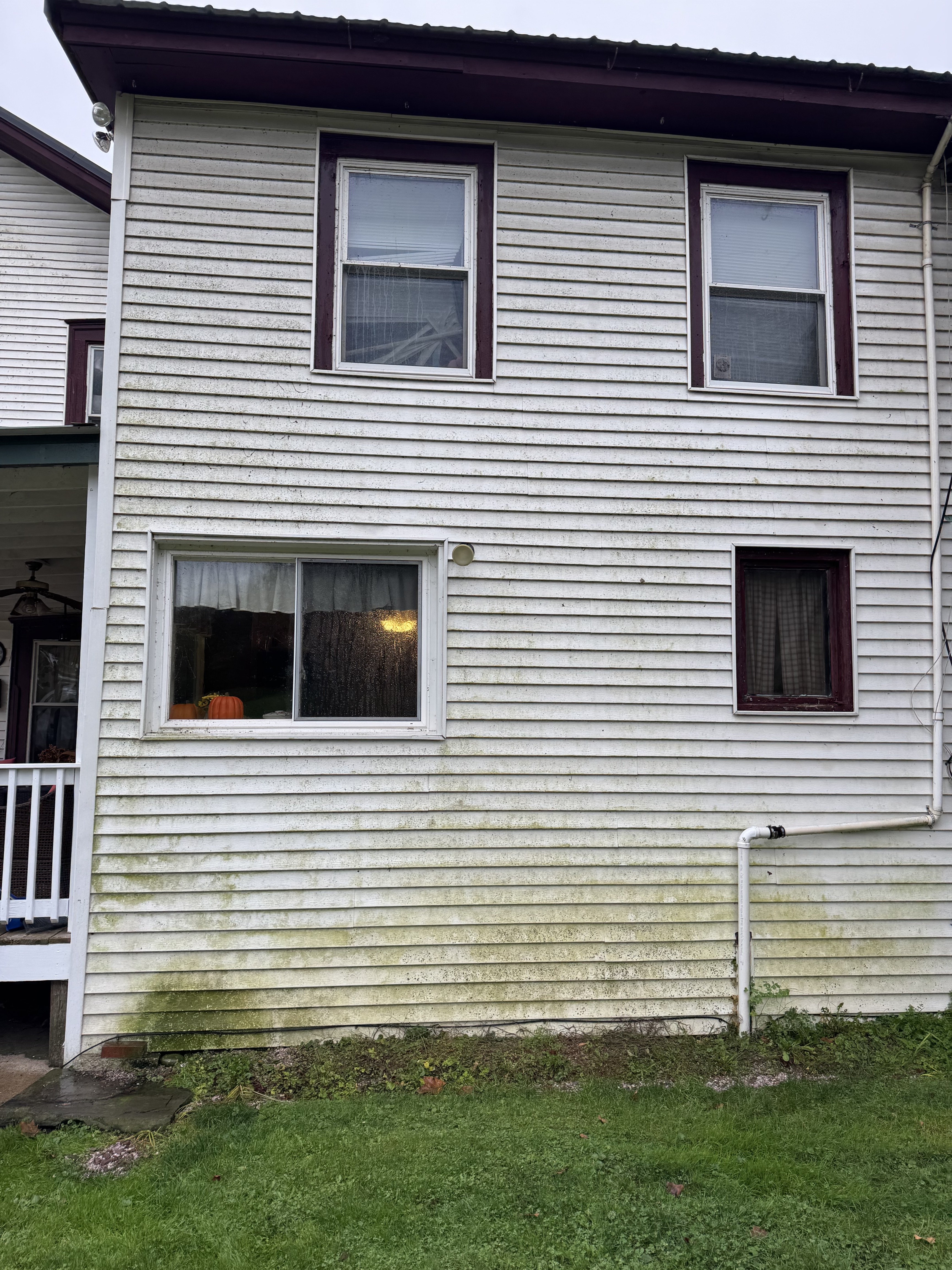 Before cleaning - siding with algae