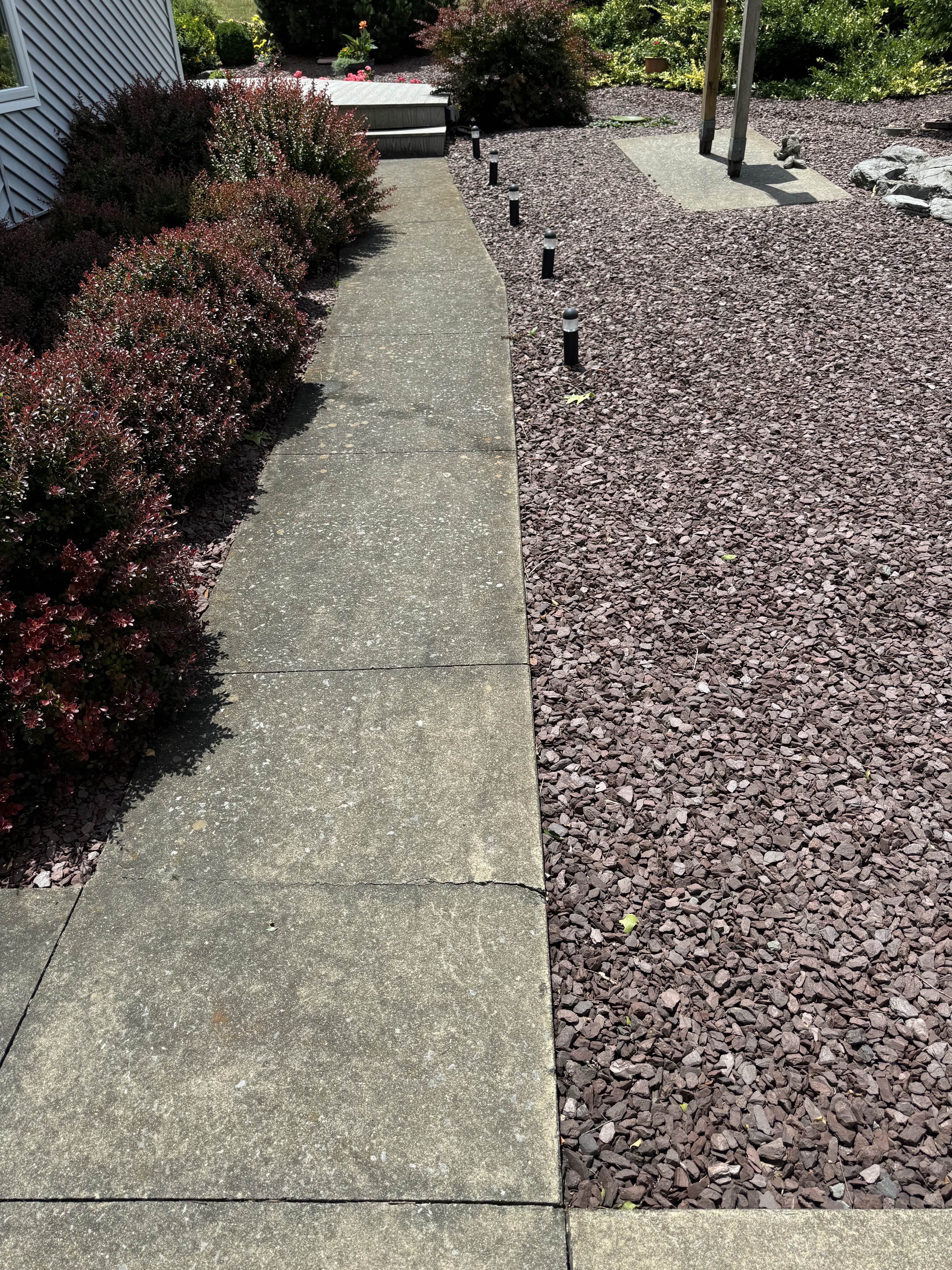 Before cleaning - dark and slick walkway